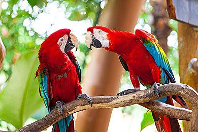 SensorTower：10月全球热门移动游戏下载量前十